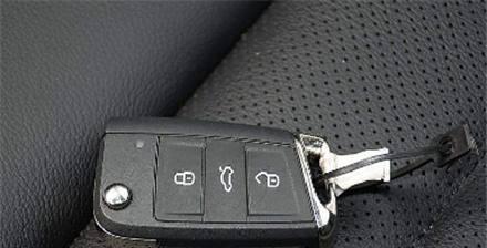 15万高尔夫进动物园，车主抱婴儿下车，结果直接被猎豹围攻！