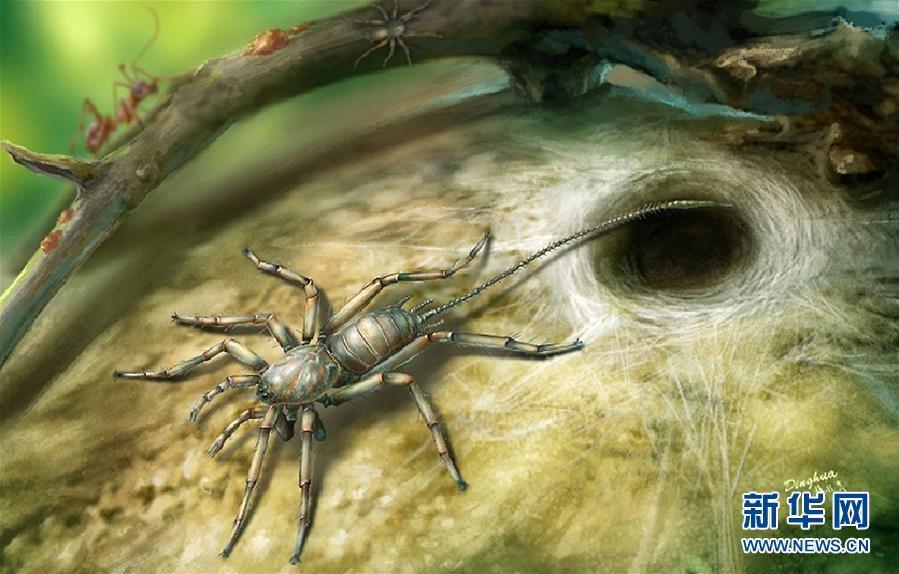 1亿年前和恐龙同时代的远古蜘蛛现身, 比现代蜘蛛多一项"武器"