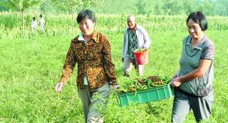 乡村服务队--邻里互助不再发生,需要帮忙拿钱来