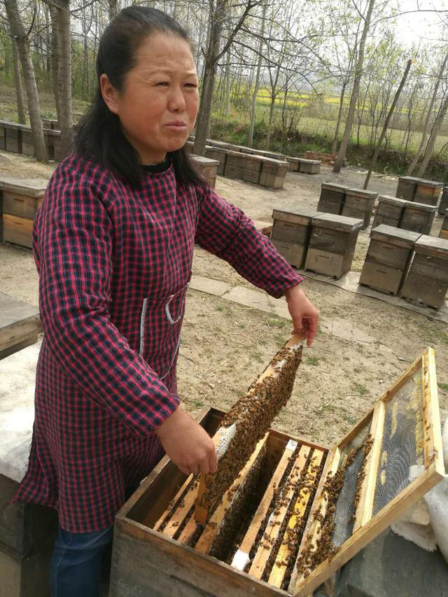 浅谈乡村振兴之信息孤岛与信息化建设的重要性