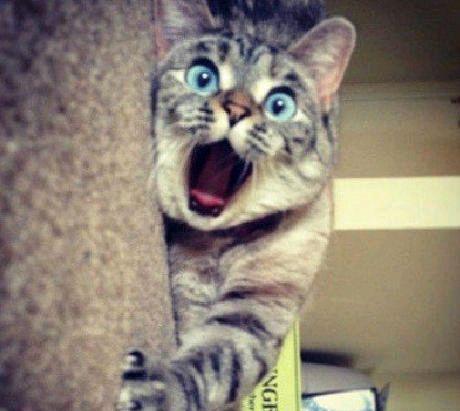 有经验的老司机为什么喜欢开这种车?