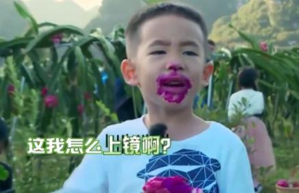 小小春吃火龙果撞脸梁朝伟