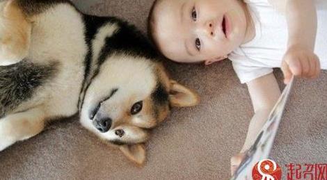 2018狗年男孩取名宜用字,有寓意事业有成之字