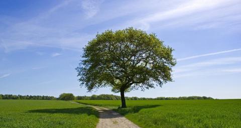 河北石家庄鹿泉招聘辅警50名,快去看看吧