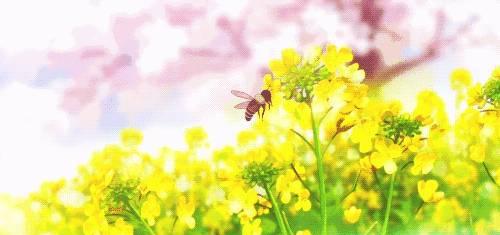 向往的生活，一屋一车，三人三餐，四季美好