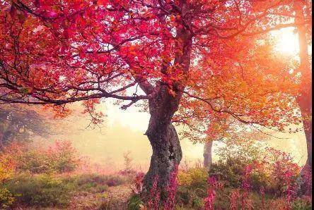 非常经典的句子 喝醉了才知道你最爱谁 ,生病了