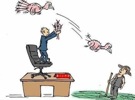 村官选举制度大调整,违规干部别想连任了,