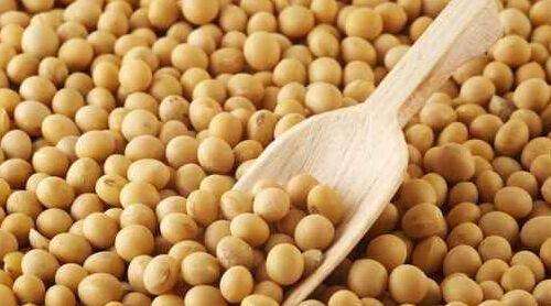 女人雌激素低怎么调理?常用它泡水喝,可补充雌