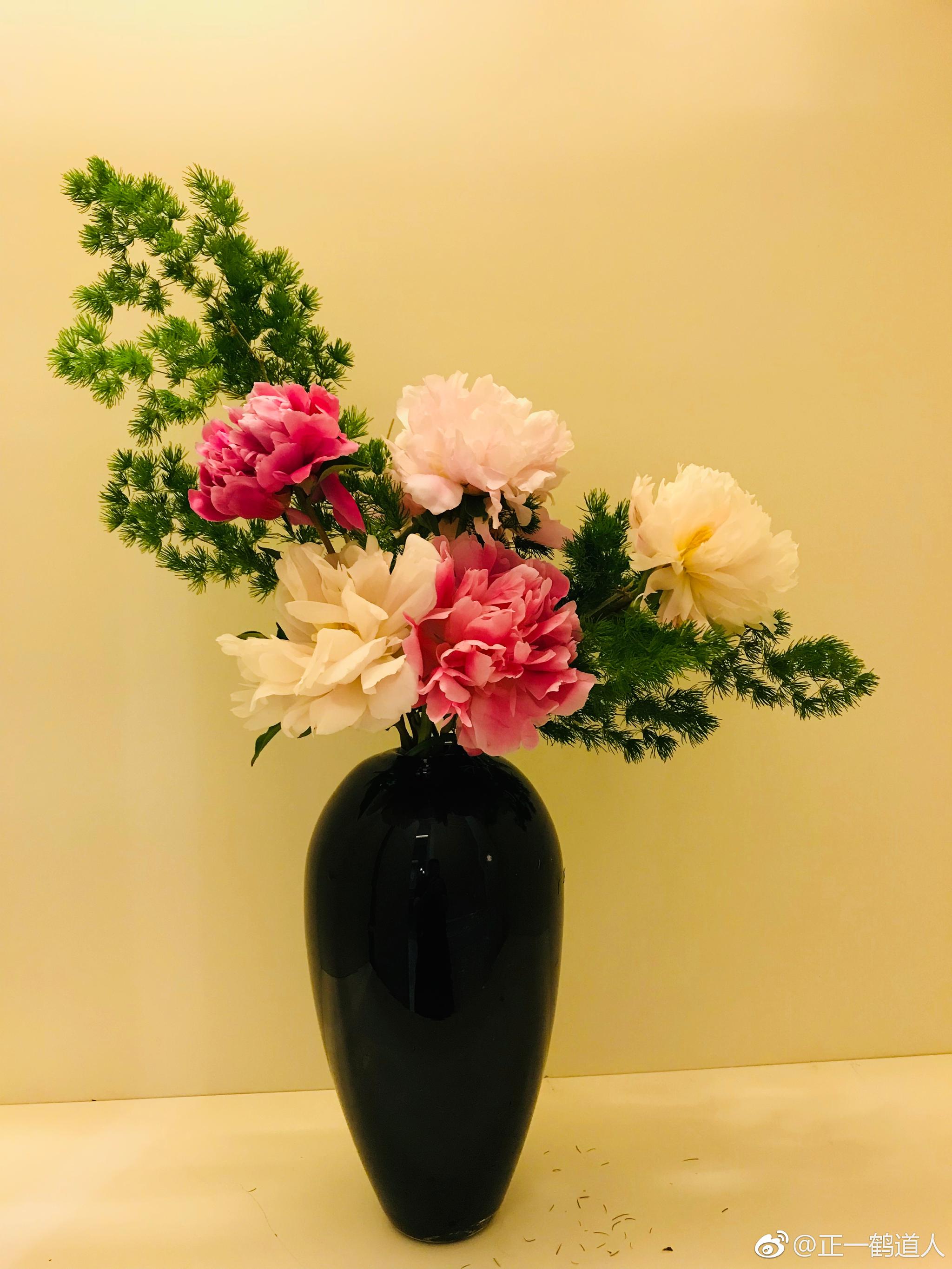 王维有诗:绿艳闲且静,红衣浅复深。花心愁欲断