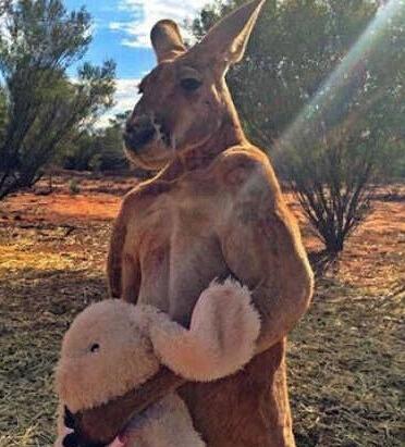 搞笑趣图:妹子这个表情是要发飙了