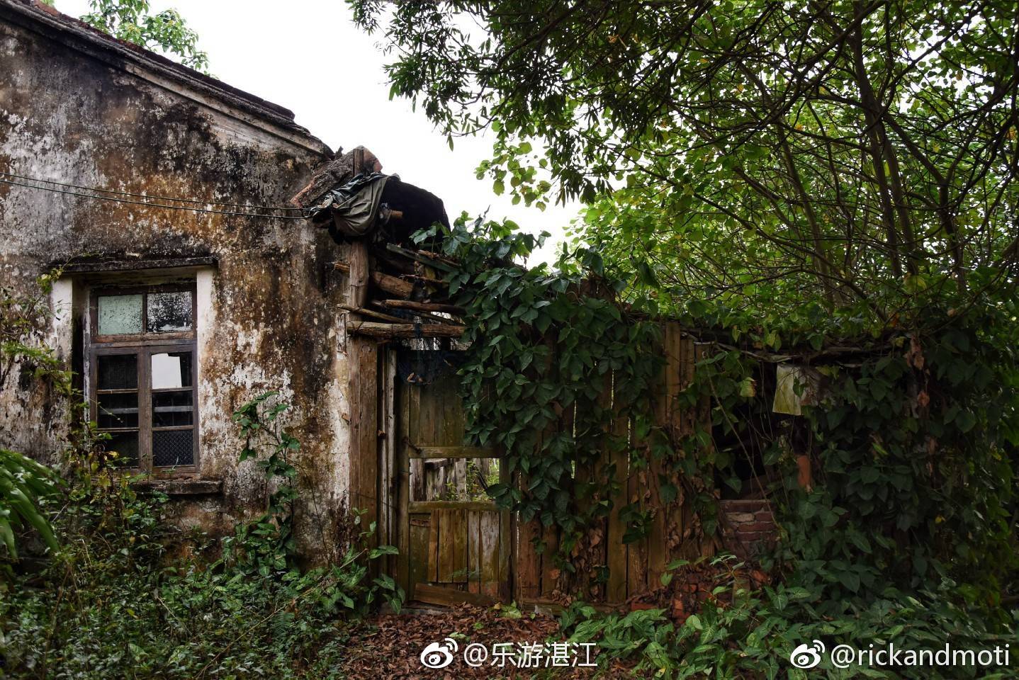 廉江鹤地水库陪你走过的风雨