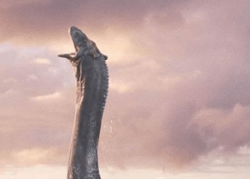 98年洪水军方曝曾有水怪出没!