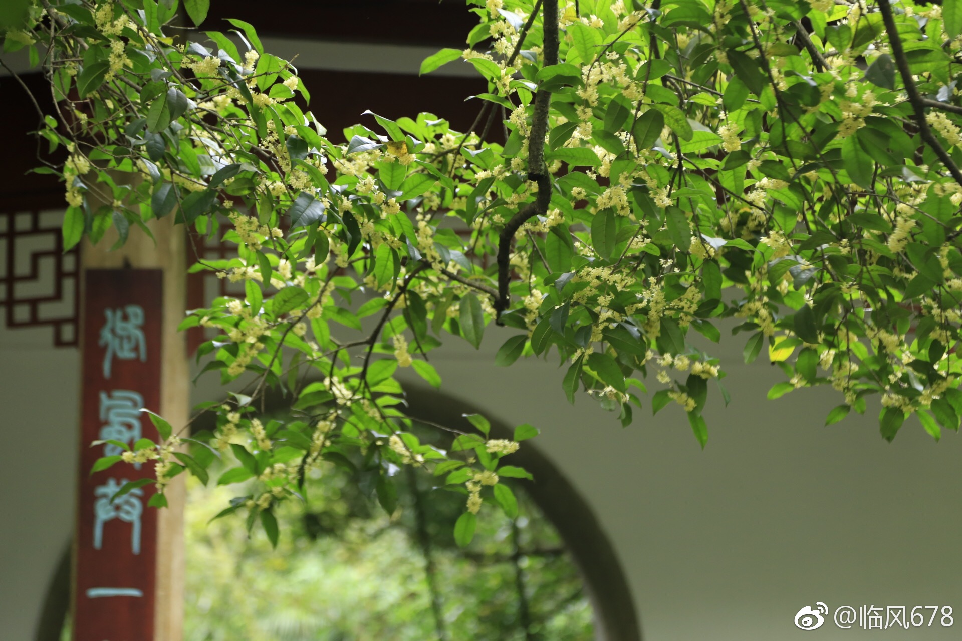 谷雨节的文化传说与欣赏|湘土风情|湖湘文化|湖南人在上海