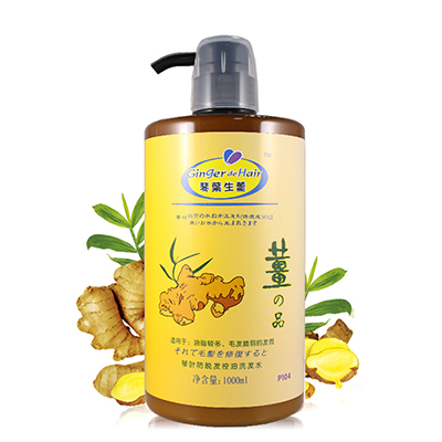 香港琴叶生姜洗发水烤羊腿用的设置排烟图片