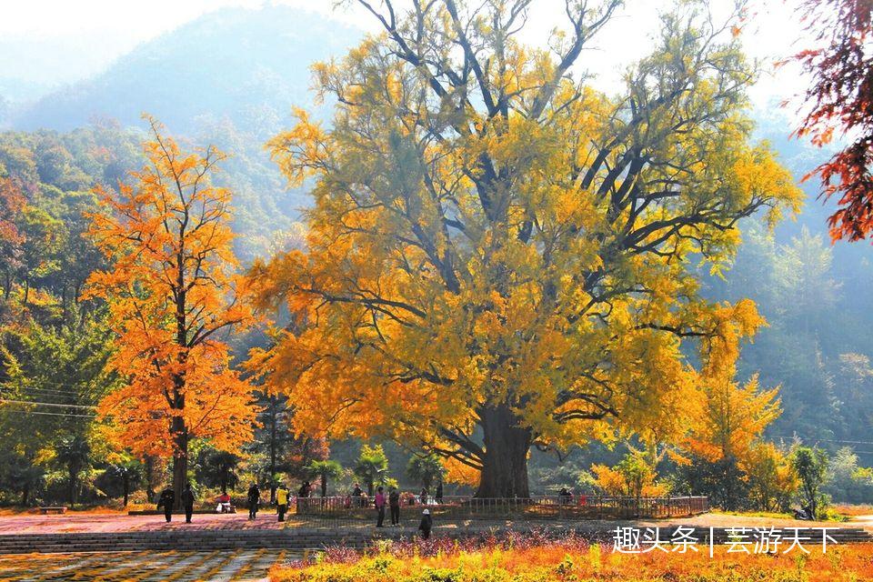 中国湖北,一个颜值被世界低估的绝美省份!