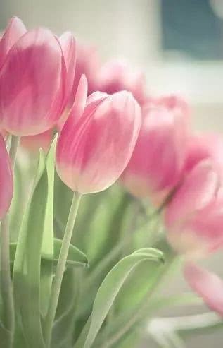 意境深远的唯美句子,让人忍不住收藏