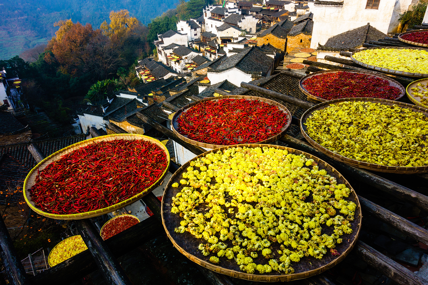 索尼黑卡6上市,被刷屏了吧。其实黑卡6并不是