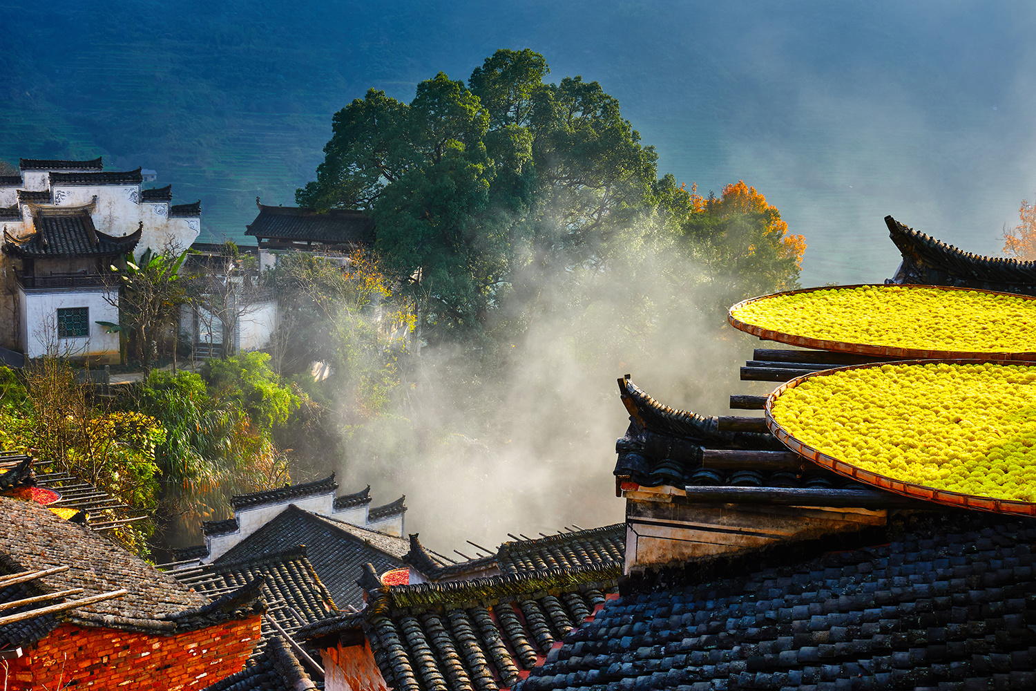 索尼黑卡6上市,被刷屏了吧。其实黑卡6并不是