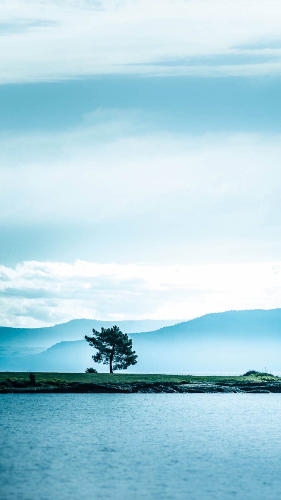 国家级金融机构最青睐哪些大学专业毕业生?