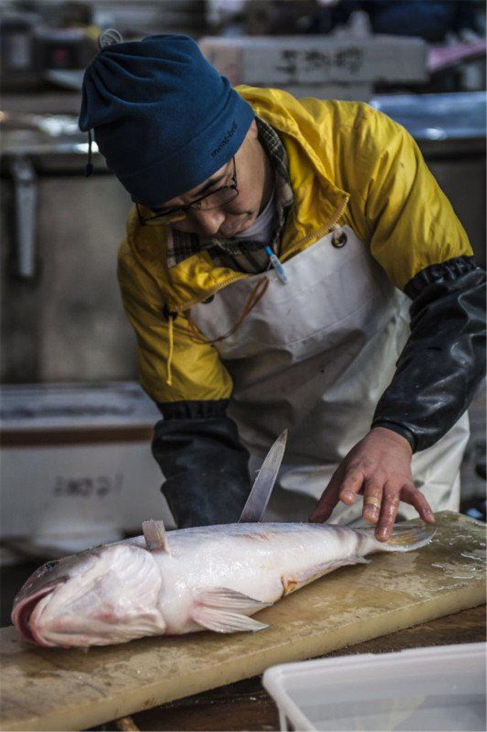 直击:日本著名的鱼类市场,没落的鱼师文化,杀鱼