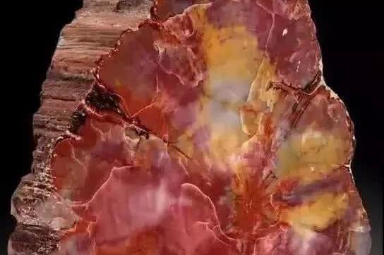 美国赠送的月岩被证实是假货，荷兰网友：开什么国际玩...