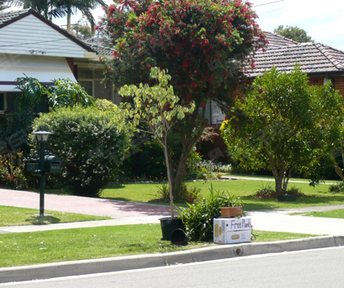 连国旗上都打着补丁,澳洲这个发达国家为啥这