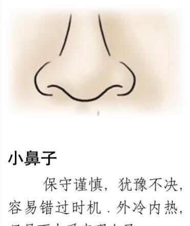 "看福在鼻",面相一看就会,比算命还准!|鼻子|面相
