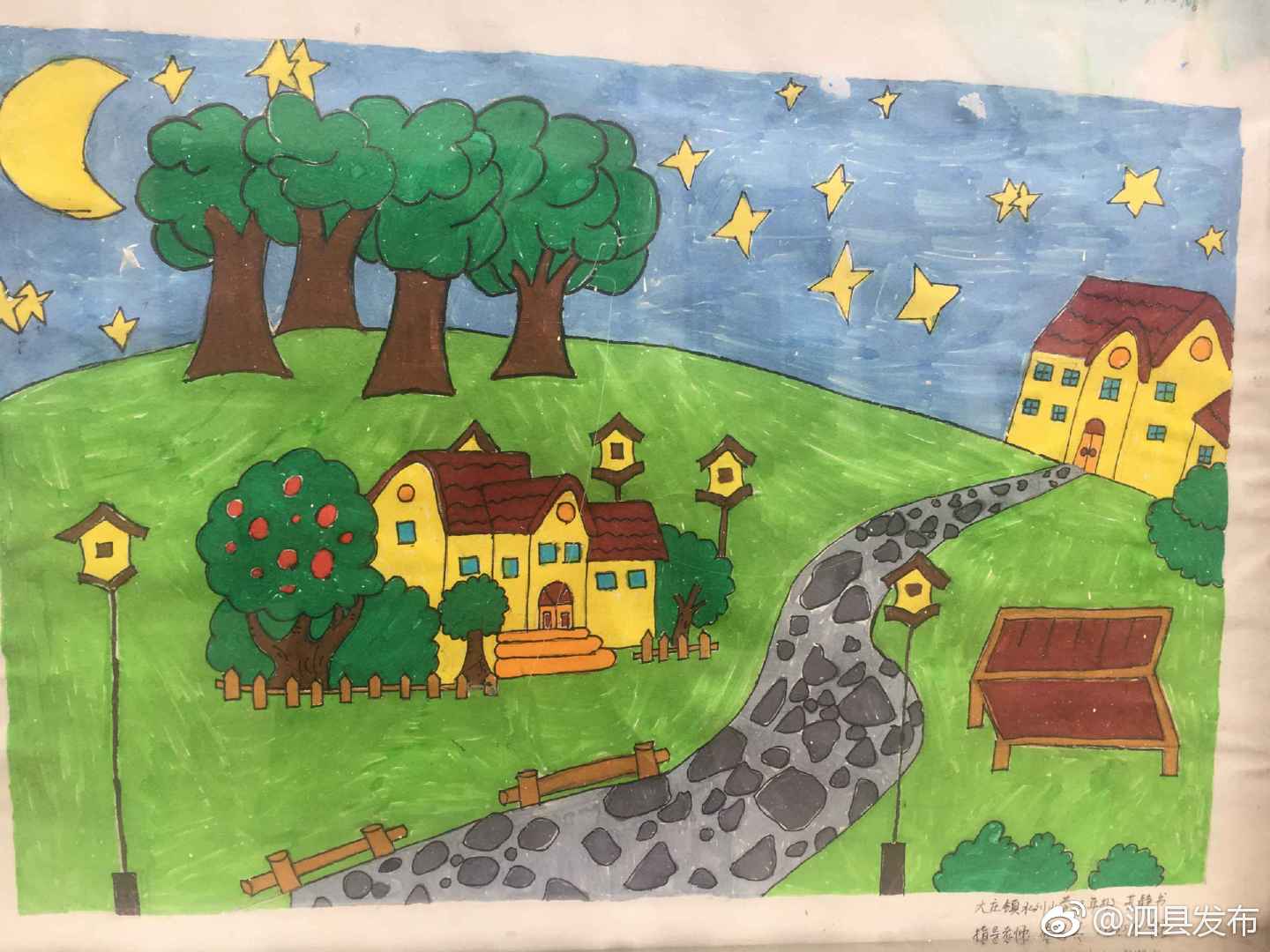 大庄中心校举行"脱贫攻坚童眼看,我画家乡新变化"小学生绘画比赛