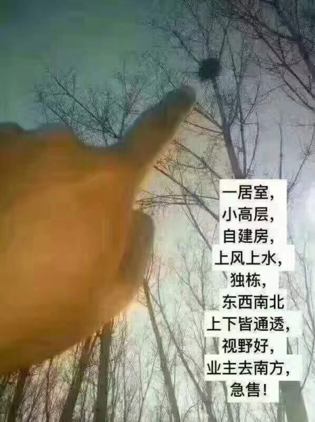 什么妻荫子成语_成语故事图片