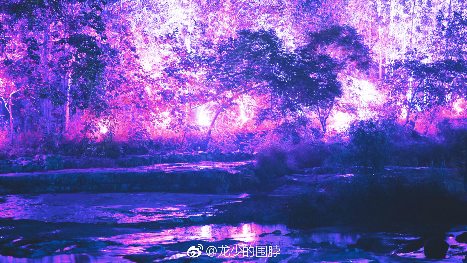 云溪夜游，云台山花大价钱新开发的主打项目。用现代化的灯光艺术