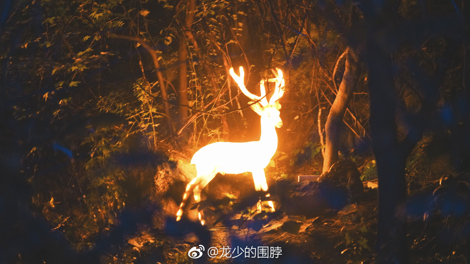 云溪夜游，云台山花大价钱新开发的主打项目。用现代化的灯光艺术