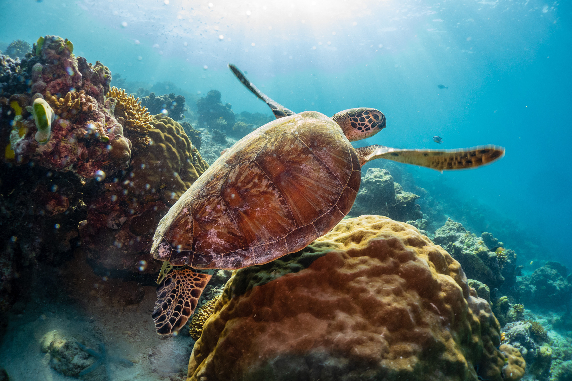 索尼黑卡6上市,被刷屏了吧。其实黑卡6并不是