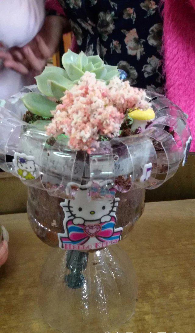 家居手工巧用废旧物品做多肉植物花盆