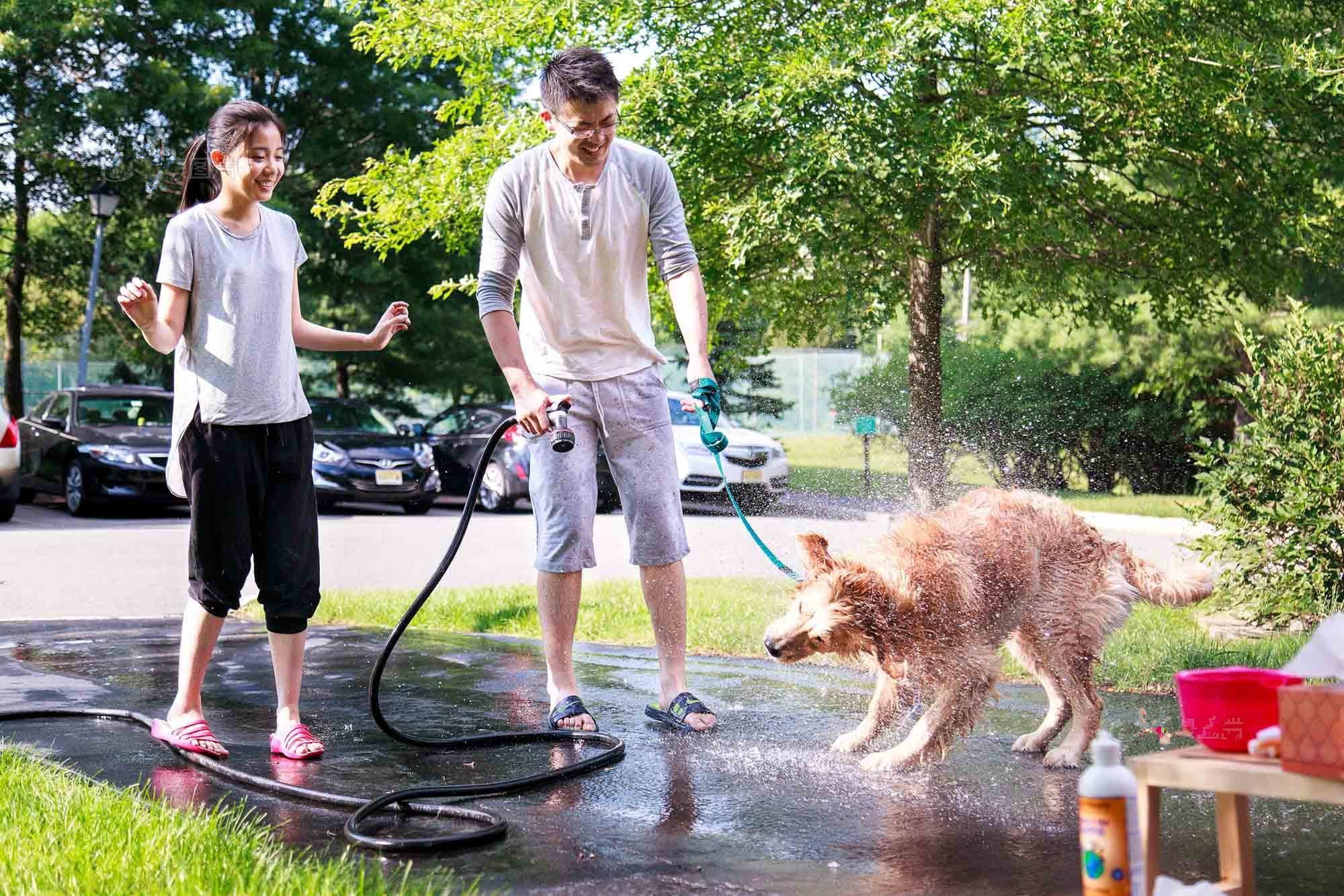 直击当初移民到美国的中国人,如今过得怎么样