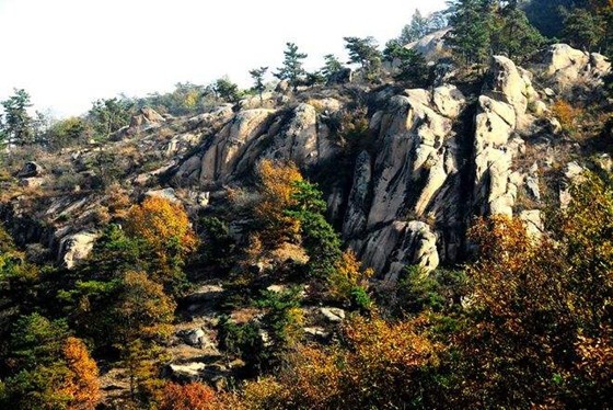 只需这几步,轻松打造岩石花境!