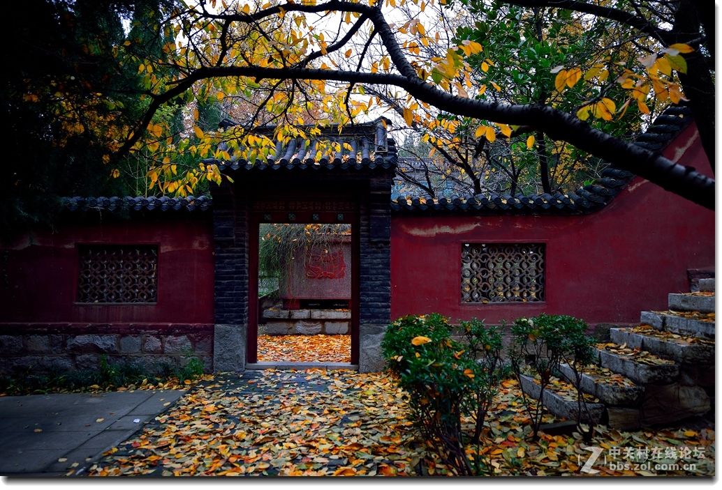 你也说聊斋我也说聊斋--聊斋城,让你体验不一样