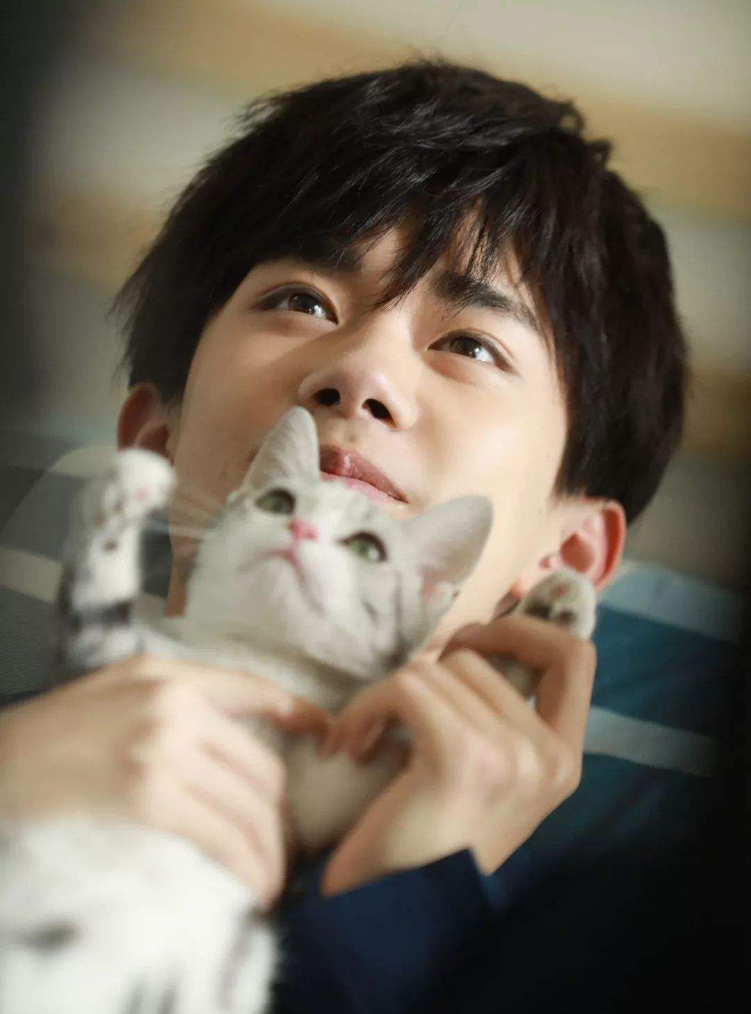 刘亦菲晒爱猫合影 杨幂baby胡歌易烊千玺都是