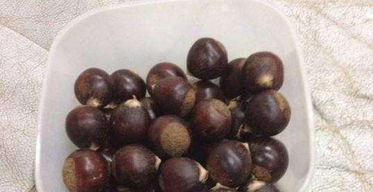 煮板栗是冷水下锅还是热水下锅? 这个季节吃板栗正当时