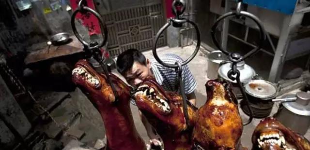 铲屎官们看好狗狗,药狗的最近很猖獗,别让你的