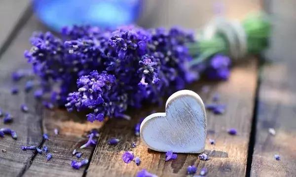 情义无价,真心难买!