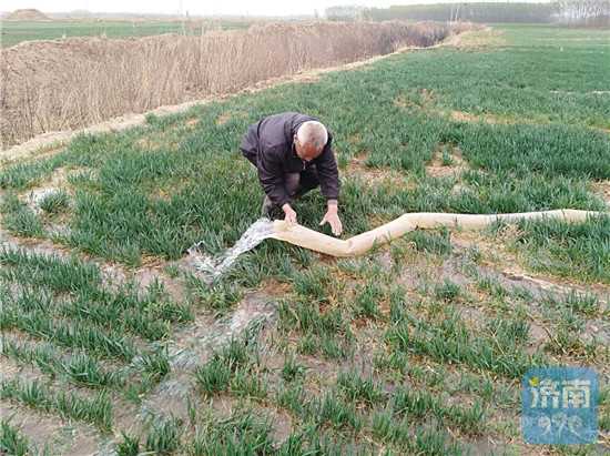 1.2亿立方米!济南抗春旱引黄灌溉农田