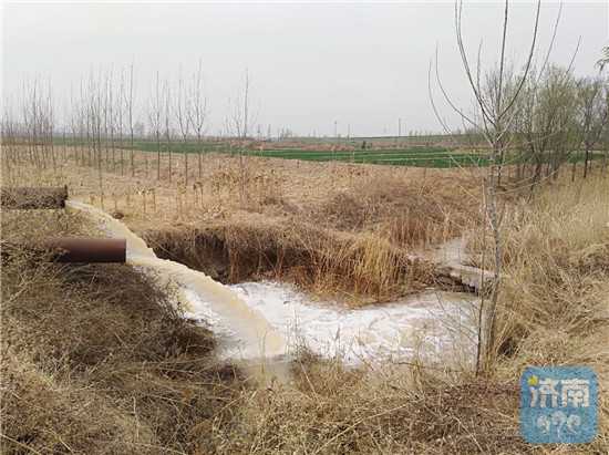 1.2亿立方米!济南抗春旱引黄灌溉农田