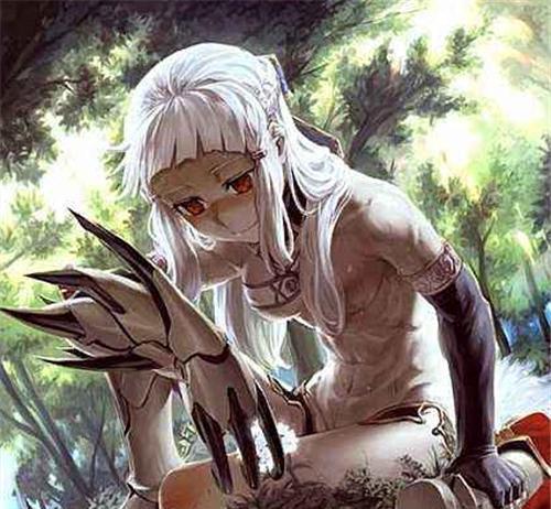 FGO:完全体的美的化身,战神之女亚马逊女王彭