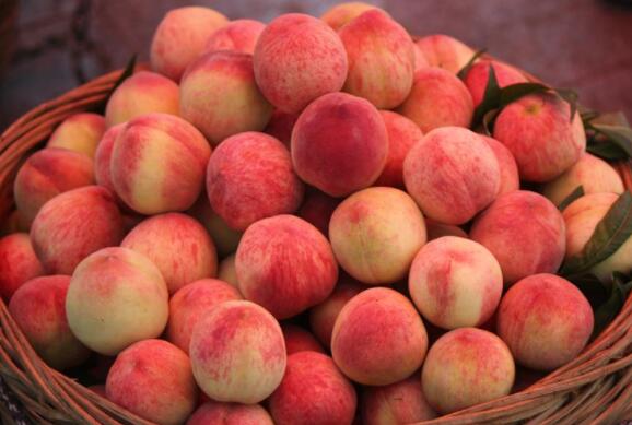 了很多水果有桃子,苹果西瓜晚上就一直呕吐,伴