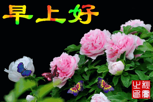 早上问候动态图片大全 微信早上问候表情图片