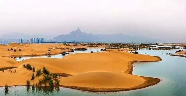 你该去一趟秋天的乌海湖, 很美!