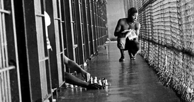 世界上最难逃跑的监狱:猛兽看管,犯人逃出后,哭