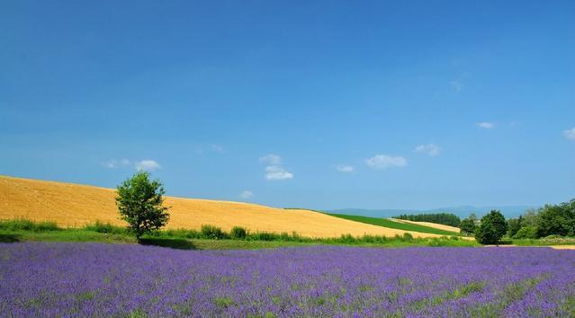 脑筋急转弯:什么东西倒立之后会减少一半?10岁