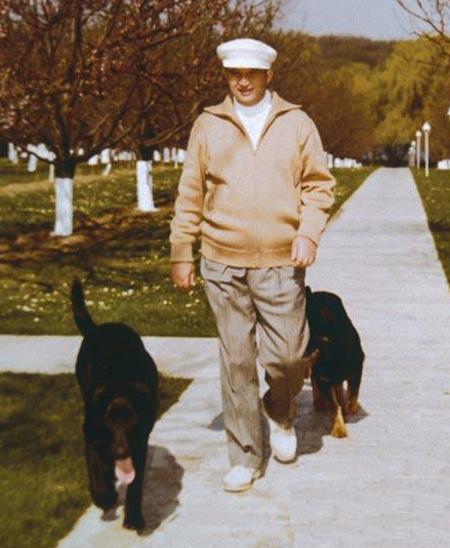 历史上级别最高的狗:拥有上校军衔,配备豪车别