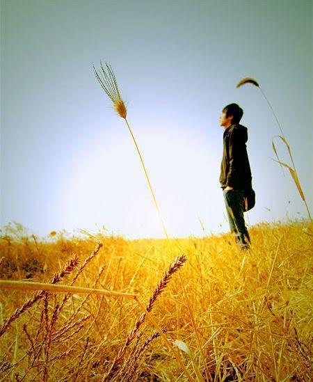 初中学习成绩差的学生,该读三流高中还是该读